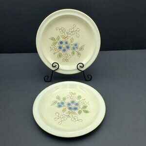 International China Company Canyon Collection Tumble Weed Floral Salad Plates